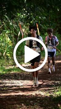 BIB:  <button type="button" onclick="openModal(27287405)" class="btn btn-primary btn-sm float-right" data-toggle="modal" data-target=".modal-high-quality">
                <i class="fa fa-download"></i> Download
                </button>